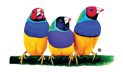 Как называются птички изображенные на мониторах компании view sonic
